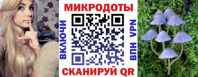 Псилоцибиновые грибы мицелий  Купить где  Светлый 
